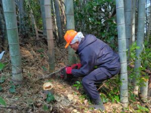 令和6年3月6日（水）えびの市上向江地区「竹やぶの伐採」のお手伝い