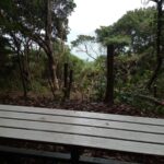 【活動報告】令和7年10月23日(木)日南市南郷町目井津地区「遊歩道の小径木の伐採」のお手伝い