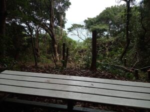 【活動報告】令和7年10月23日(木)日南市南郷町目井津地区「遊歩道の小径木の伐採」のお手伝い