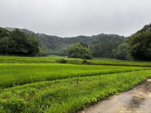 令和8年7月5日(日)西都市千田地区「農業用排水さらい」のお手伝い
