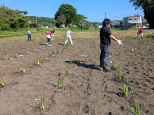 令和8年10月4日（日）西都市妻北地区「花の植栽」のお手伝い